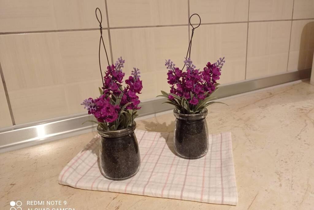 Kalimera Sun Afytos Apartment - Afytos Buitenkant foto
